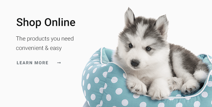 Little Miami Veterinary Services | South Lebanon Vet